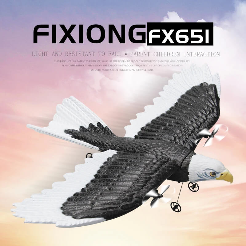 FX651 2.4G RC Eagle Airplane