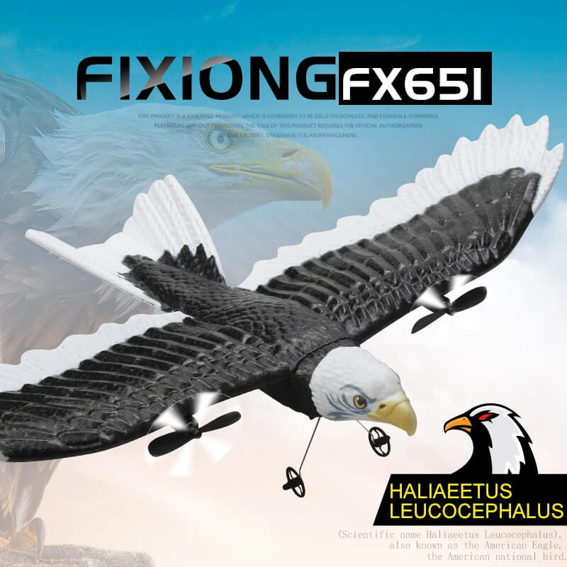 FX651 2.4G RC Eagle Airplane