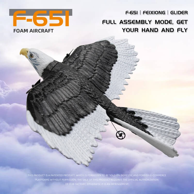 FX651 2.4G RC Eagle Airplane