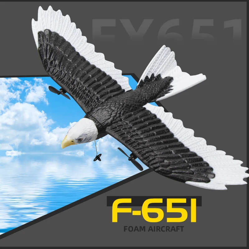 FX651 2.4G RC Eagle Airplane