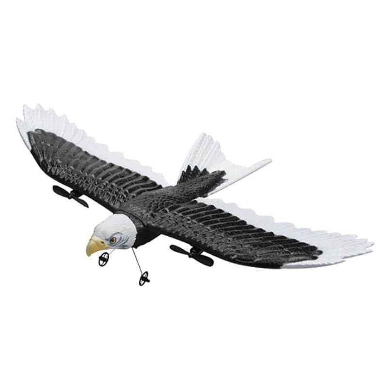 FX651 2.4G RC Eagle Airplane