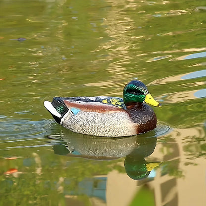 2-in-1 Duck RC Boat – Remote Control Duck & Speed Boat
