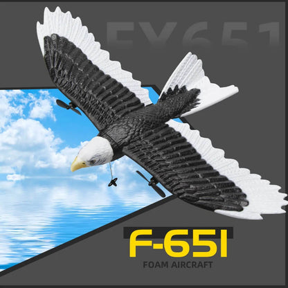 FX651 2.4G RC Eagle Airplane