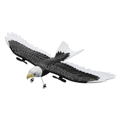 FX651 2.4G RC Eagle Airplane